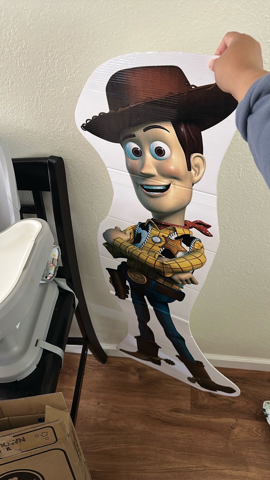 Toy Story Woody Cut Out 