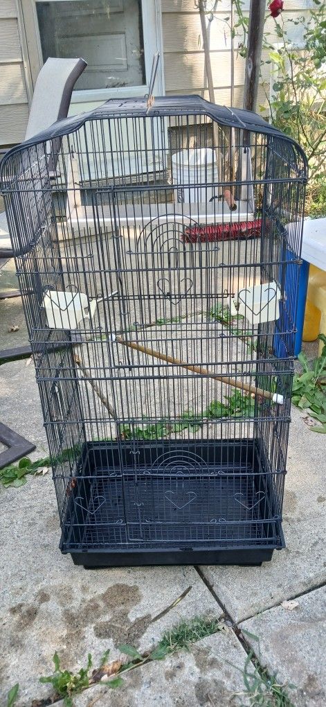 Bird Cages