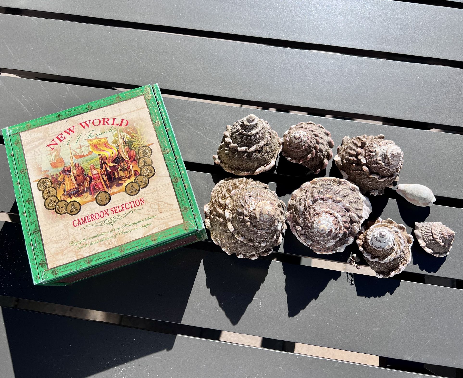 3 BOXES FOR $5 Sea Shells Ready For A Crafter!