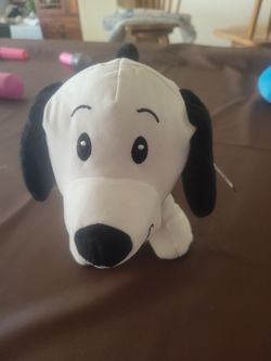 Graduation dog