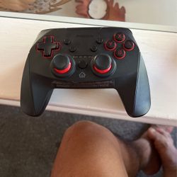 NINTENDO SWITCH CONTROLLER