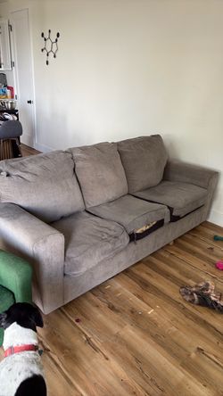 Couch free