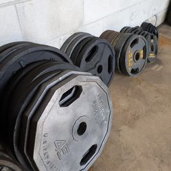 Olympic Plates Dumbbells Benches Racks Standard And More! Bob