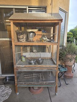 Bird Cage