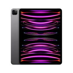 Apple - 12.9-Inch iPad Pro with Wi-Fi - 512GB - Space Gray