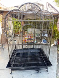 Large birdcage