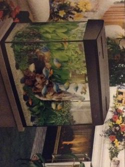 Fish Tank - Heated and or Salt Water