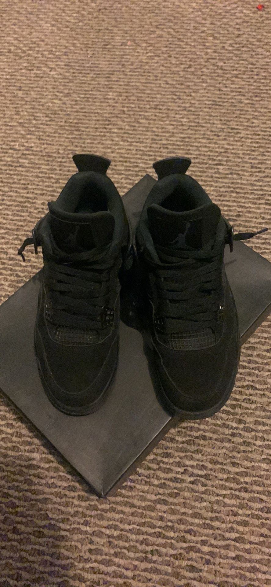 black cat 4s hibbett sports