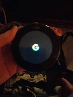 Nest Google