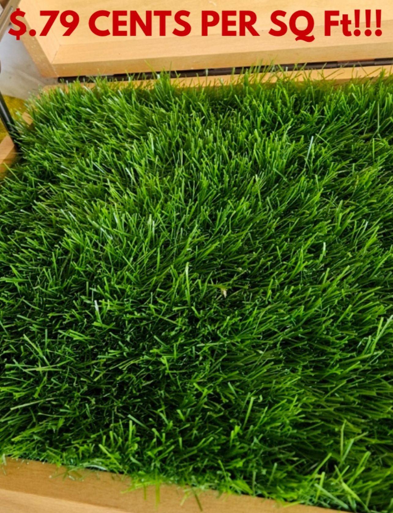 Liquidation Turf Sale-$.79 sq ft - Temecula