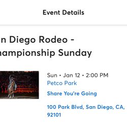 Championship Sunday Rodeo