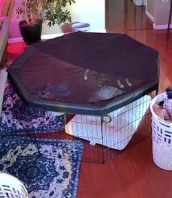 24in Pet Playpen and Cover