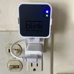 Blink Outdoor Battery Cameras, Set Of 2 And Module With Mounts