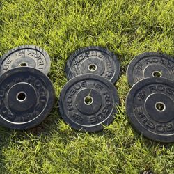 Rogue Weight Plates Set