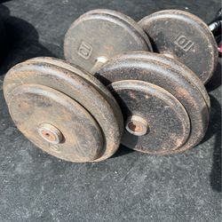 50LB Dumbbells