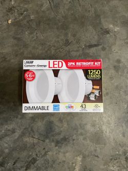 LED dimmable recessed lights