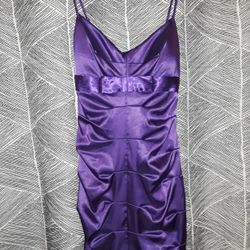 Purple Dress Size 7/8