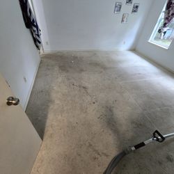 Shampoo Carpet Cleaner