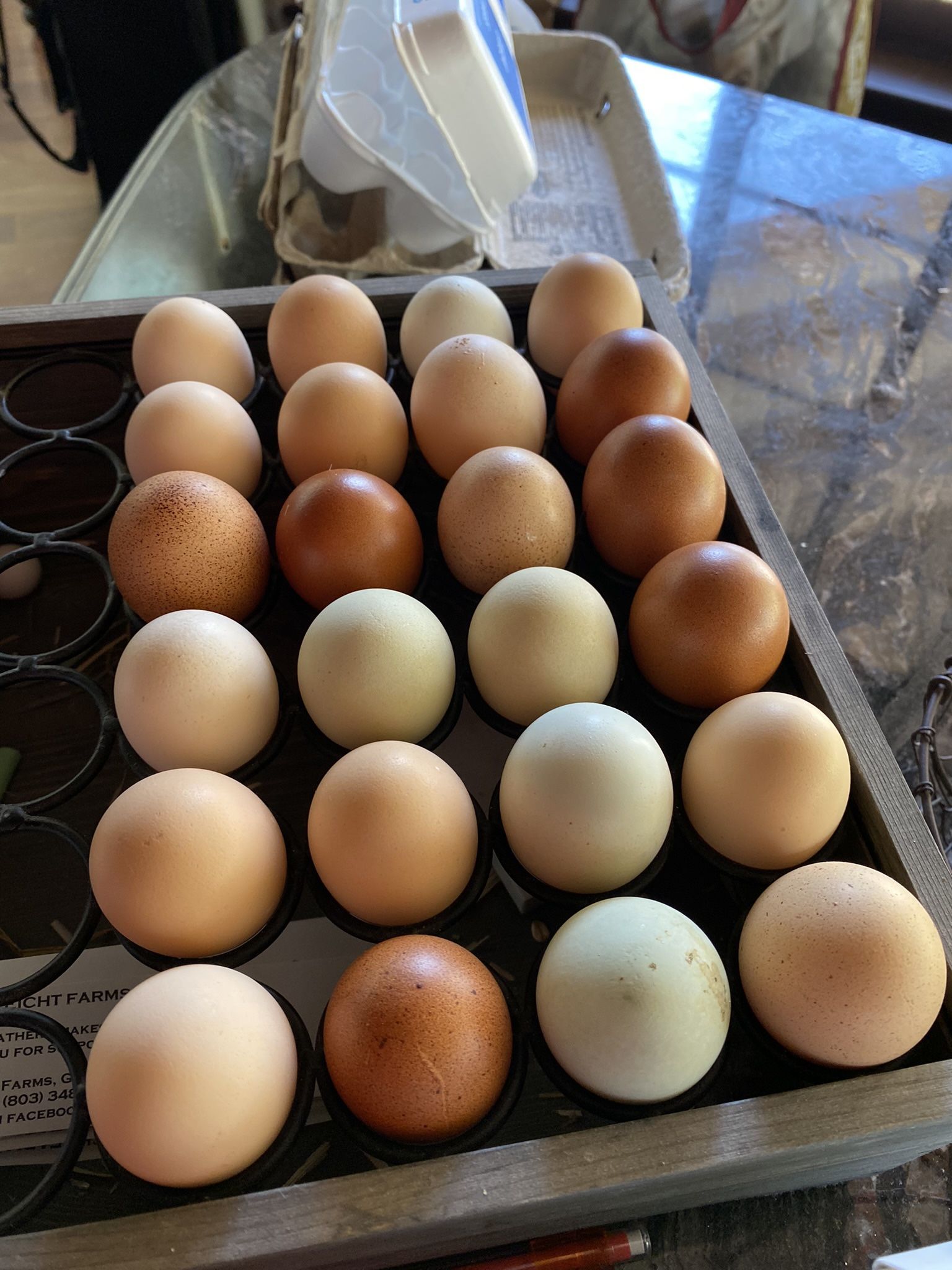 Farm Fresh Eggs! Free Range Happy Birds!  