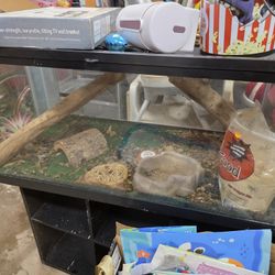 40 Gallon Tank
