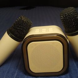 Portable Karaoke Speaker System with 2 Wireless Microphones – Bluetooth RGB