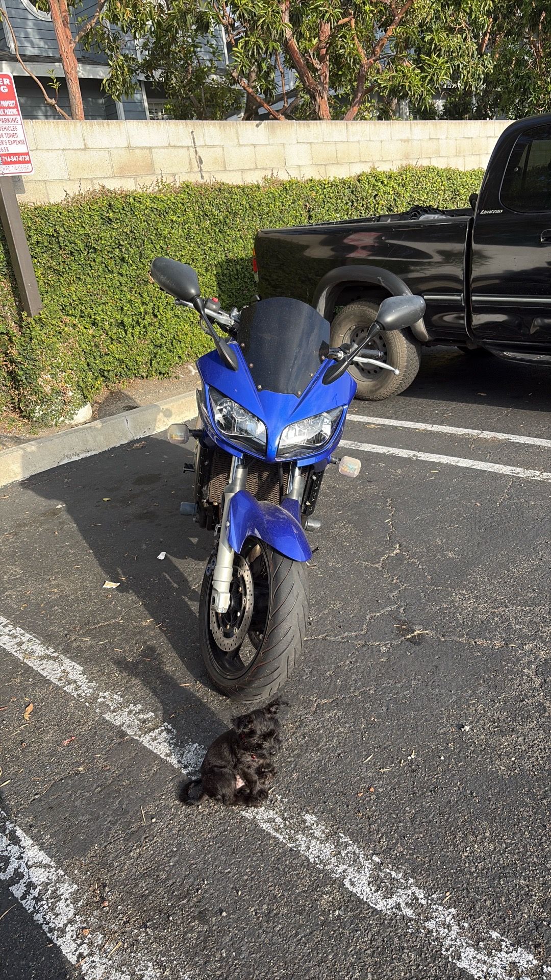2005 Yamaha FZ1