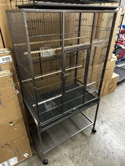 Bird Cage