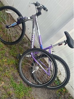 Schwinn ridge