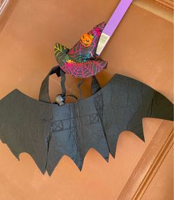 Bat Halloween Costume for a Cat