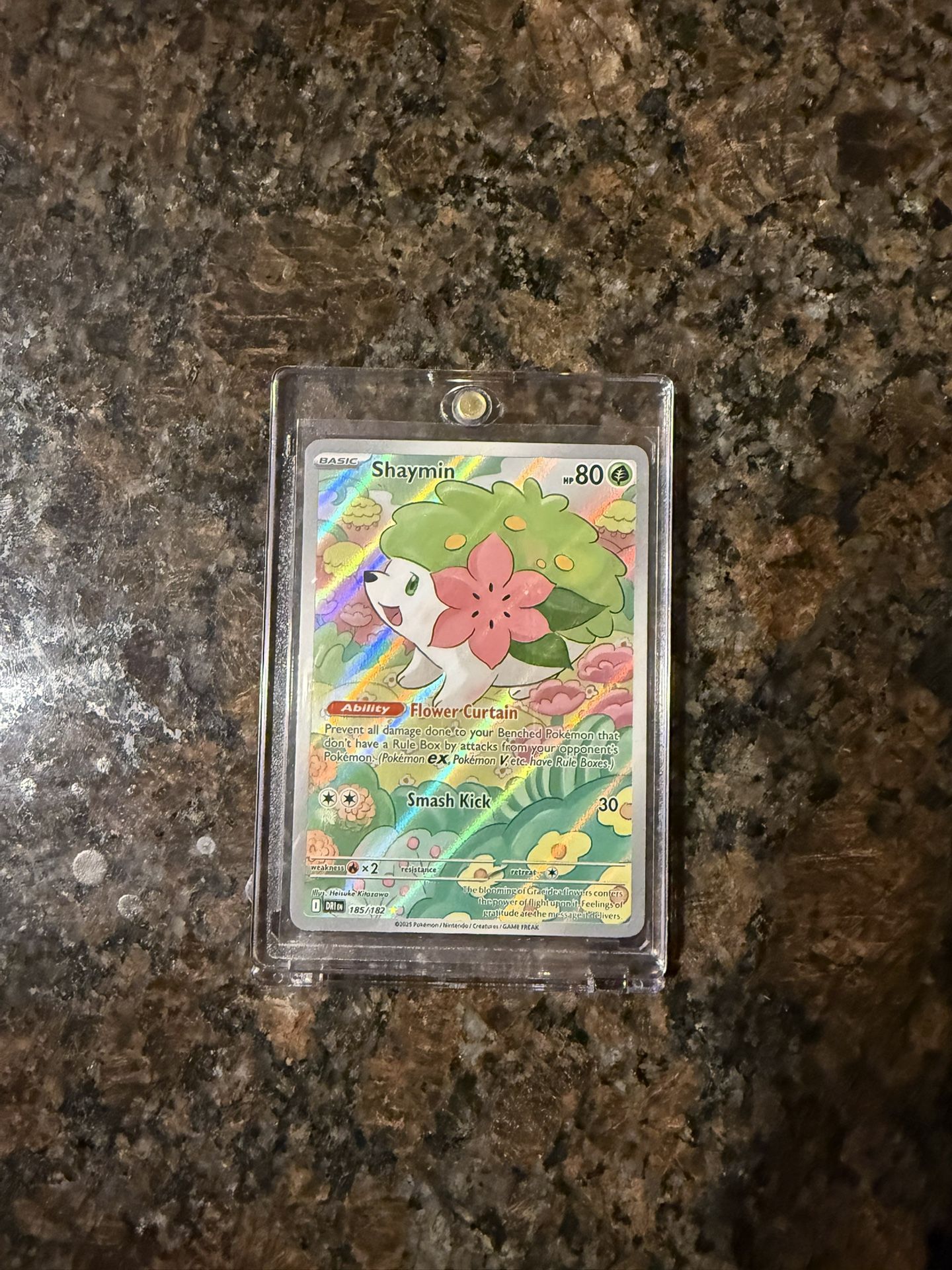 Shaymin Pokemon