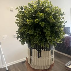 Faux Plant 