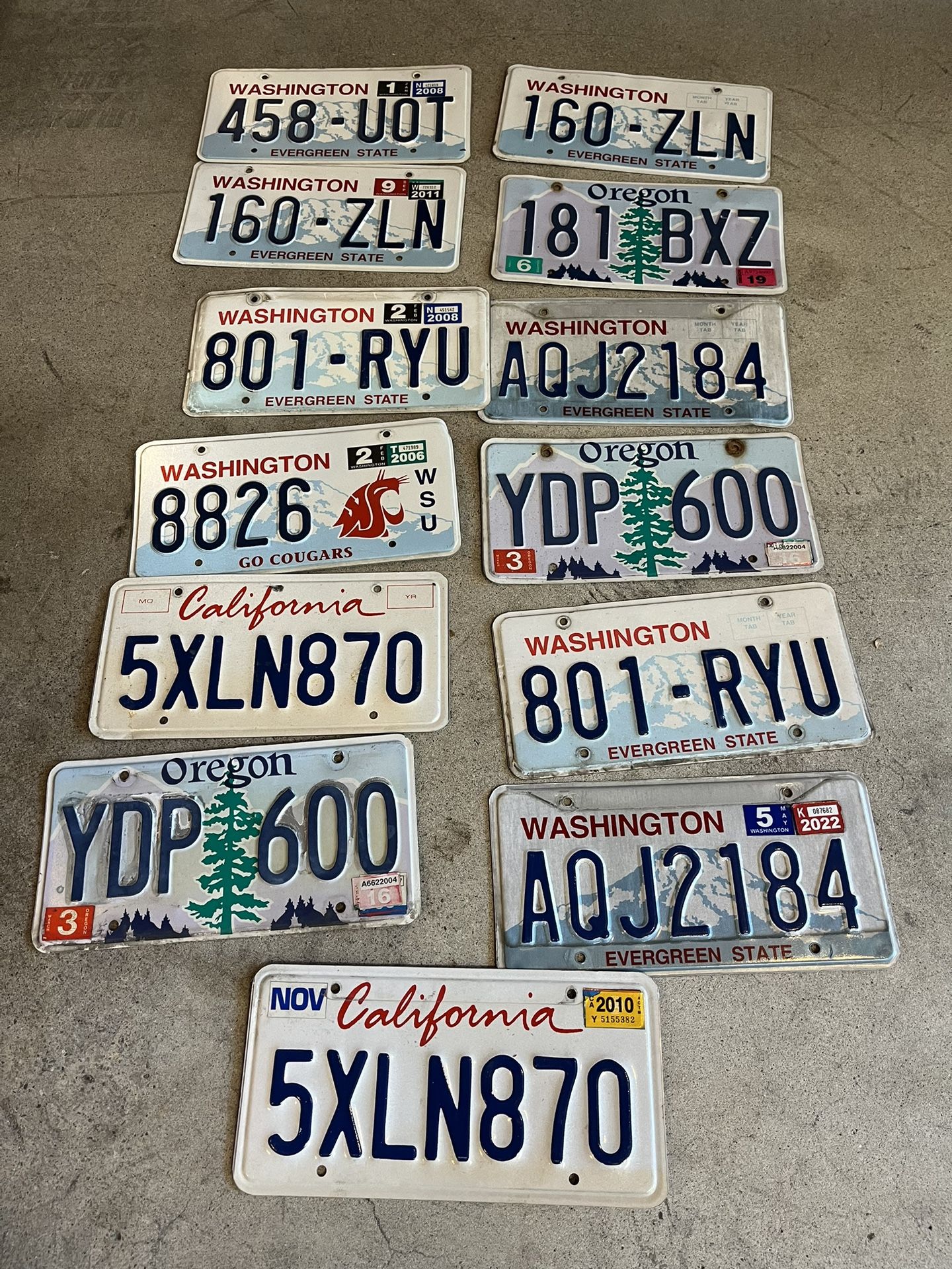 13 License Plates