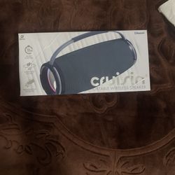 crusin wireless speaker 