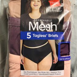 Hanes Mesh 5 Pack Briefs 