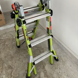 Little Giant (Conquest 13) Multi Ladder
