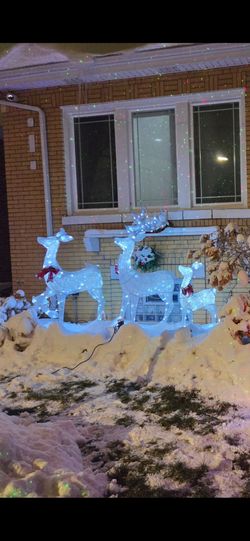 Raindeer outside set