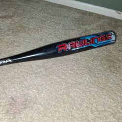 Baseball Bat