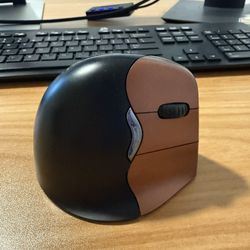 Ergonomic Mouse