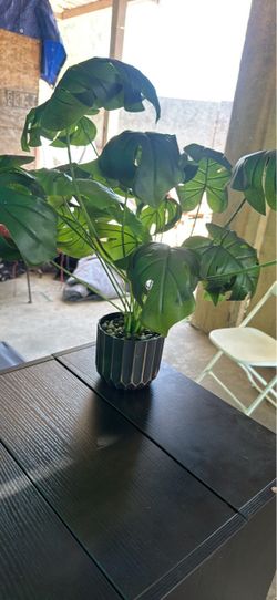 Faux plant