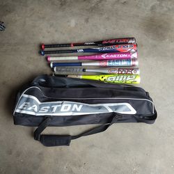 Bats with bag