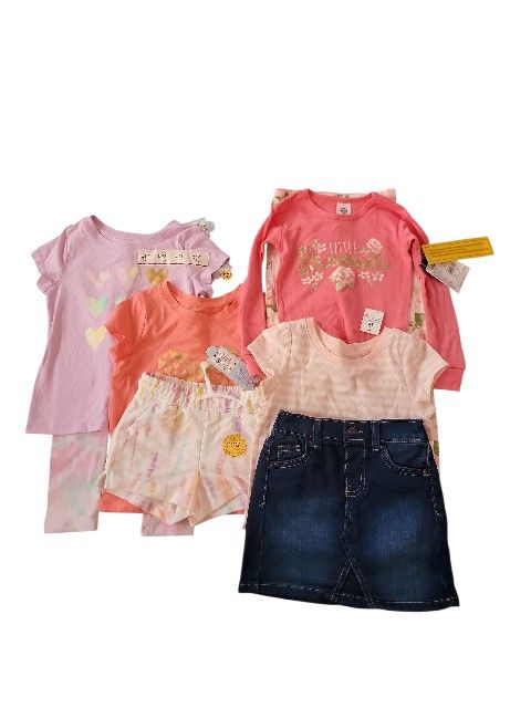 Baby Girl Clothing Lot