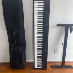 Full Size Electric Piano With Cover And Stand