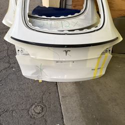 2020-2025 Tesla Model Y Tailgate 