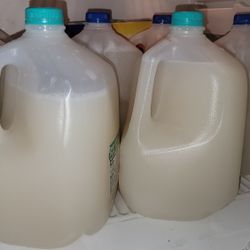 Fermentado Y Tierno Pulque