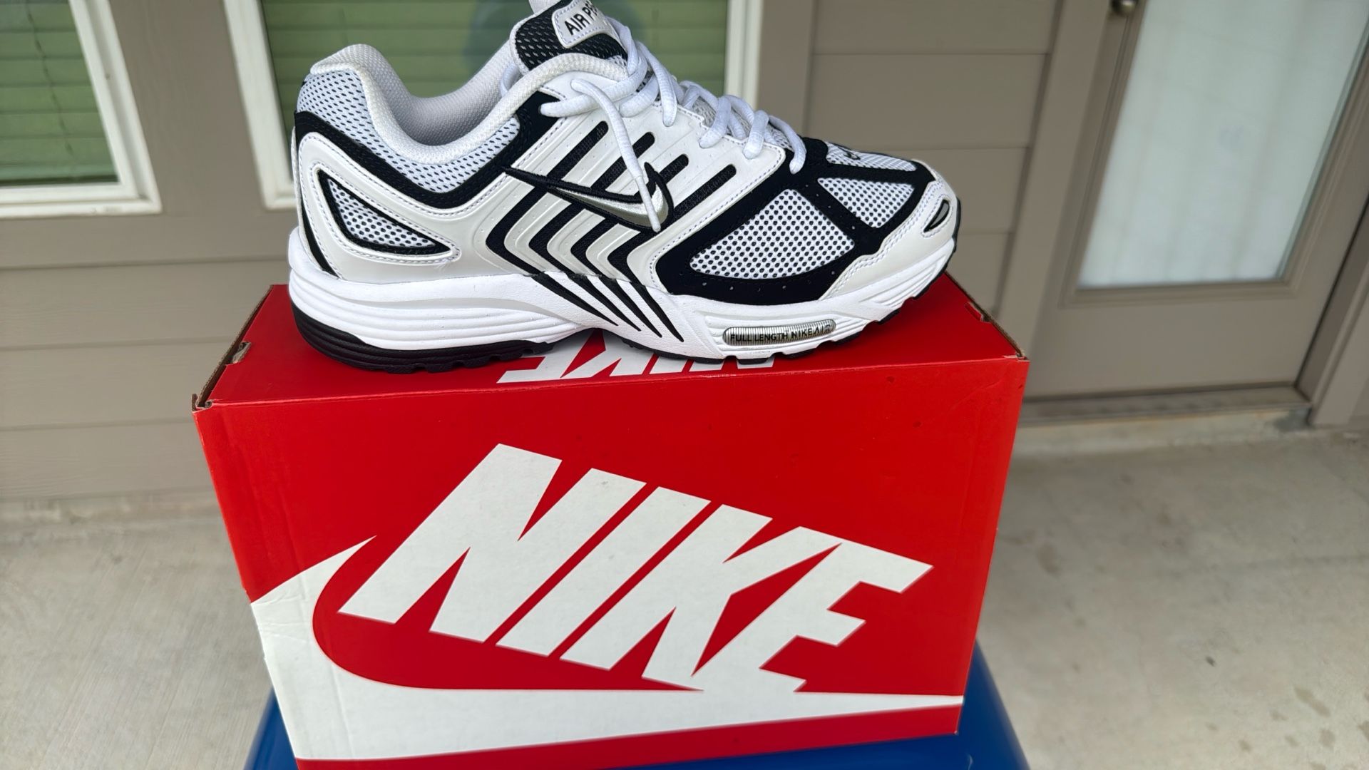Nike Air Pegasus ‘2k5’ 2024