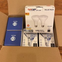 LED Light Bulb Bundle