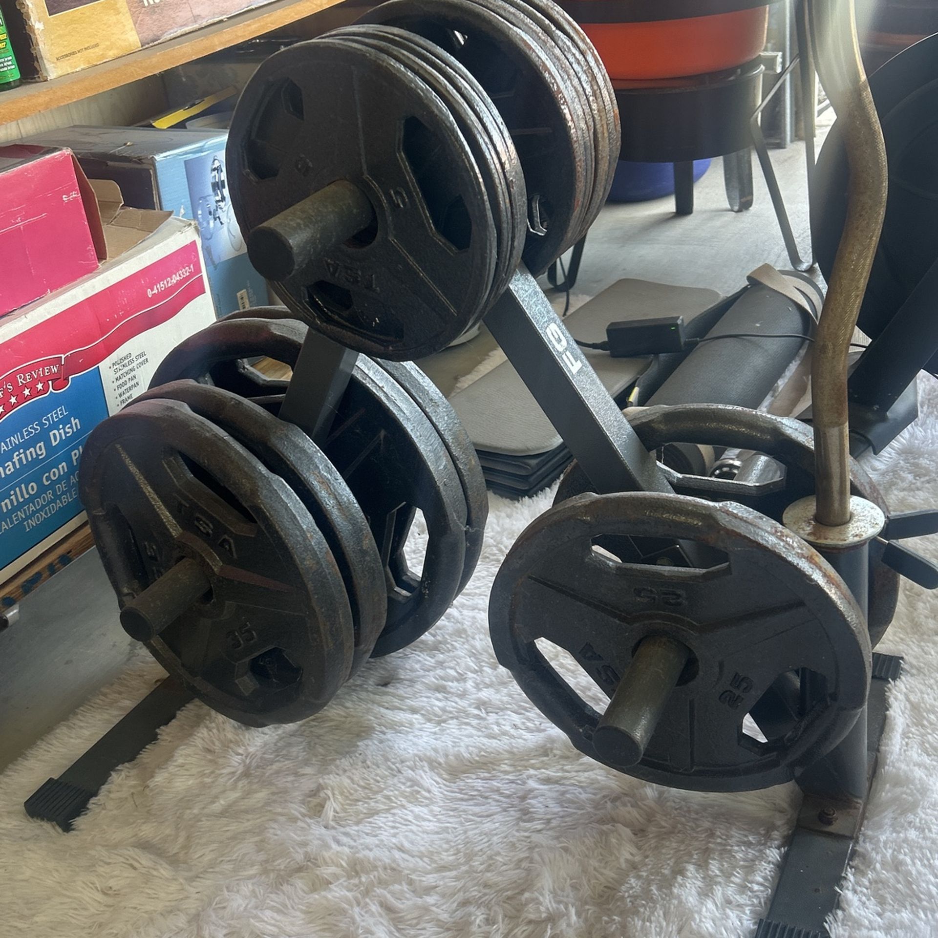 Olympic weights, Curl Bar & Stand