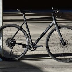 Large Gravel Bike 