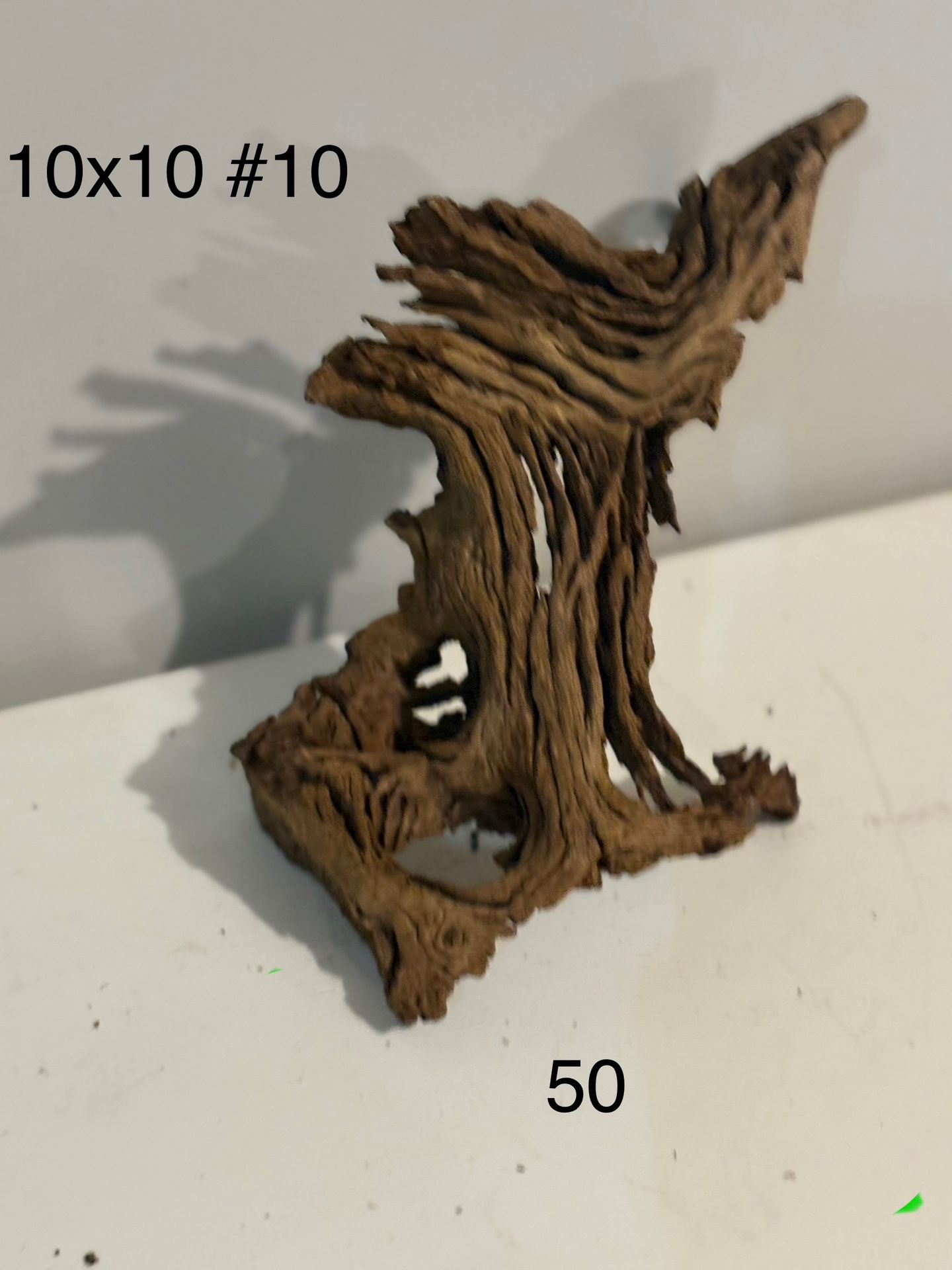 Stands On It’s Own Driftwood 