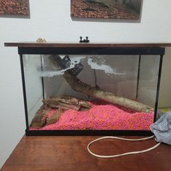 20 gallon fish aquarium